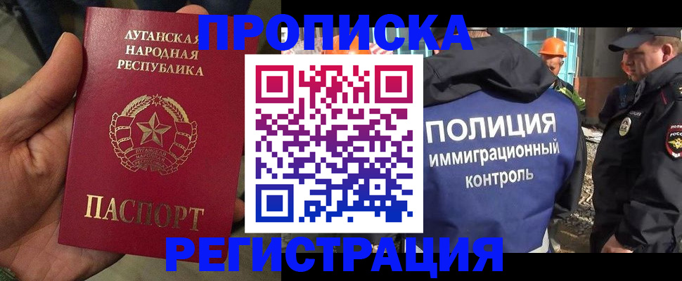 прописка поиск в Новодвинске